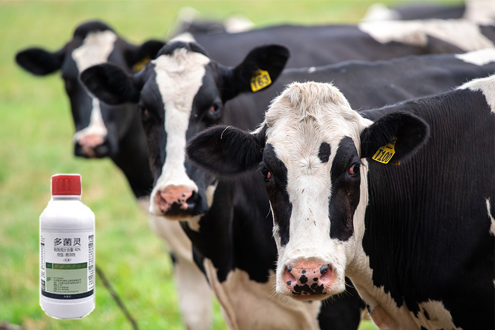 Carbendazim多菌靈 內容圖-中.jpg